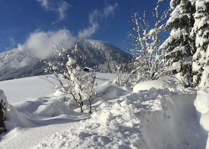 Haus Muehlleiten - *