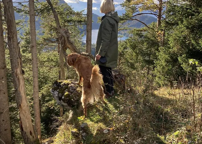 Appartement Haus Muehlleiten - *