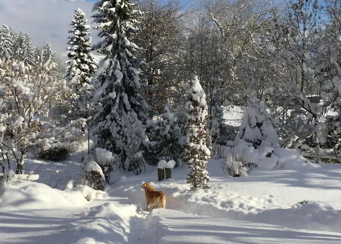 Haus Mühlleiten - Apartamento Söll