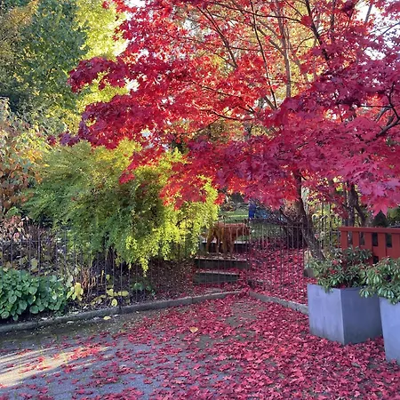 Haus Muehlleiten - Apartment