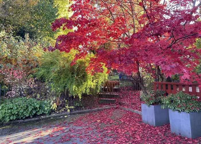 Haus Muehlleiten - Apartment
